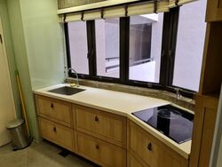 Bayshore Park (D16), Condominium #563478231
